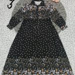 ساحلی جلو دکمه گلزار